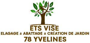 elagage-ets-vise